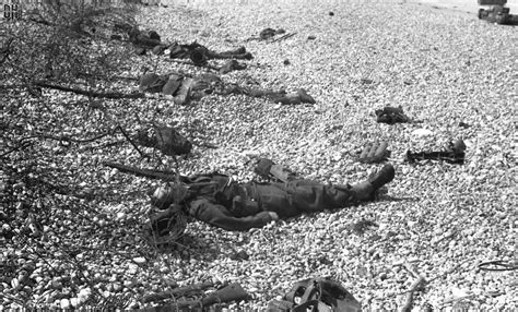 War Ww2 Dead American British Canadian Soldiers Goregrish
