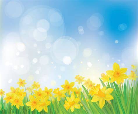 Royalty Free Daffodil Clip Art Vector Images And Illustrations Istock