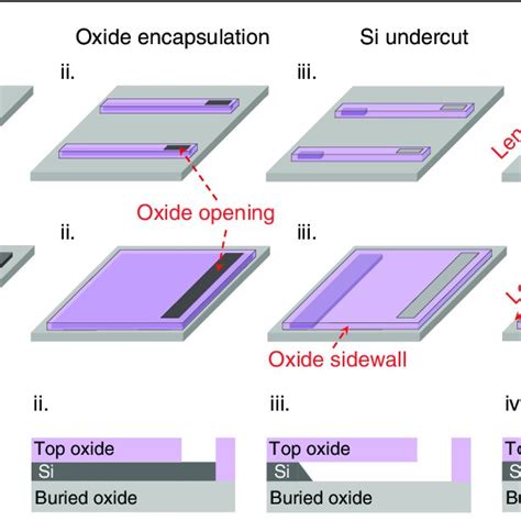 The Concept Of Growing In Plane InP Sub Micron Wire And Membrane Array