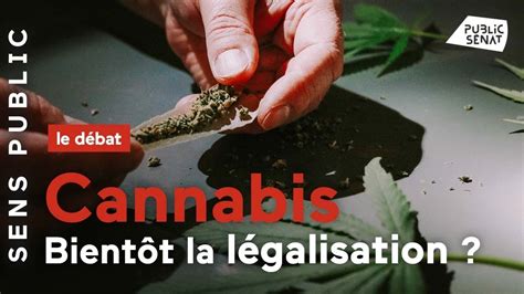 Cannabis Bientôt La Légalisation Youtube