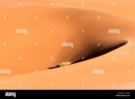 Sand Dune Sossusvlei Namib Naukluft National Park Namib Desert Namibia Sandduene