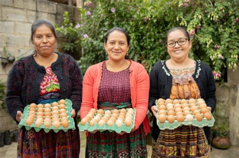 Emprendimiento Las Delicias Juan Bautista Guti Rrez