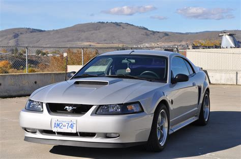 1999 Ford Mustang Ultimate Guide