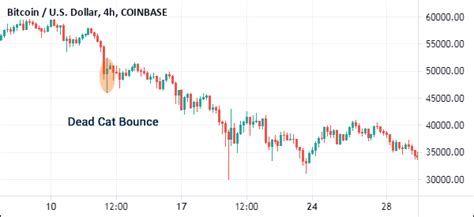 How To Spot A Dead Cat Bounce Strategies To Trade It Dttw™