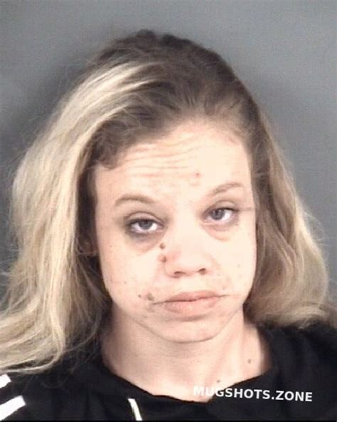 Brewington Ilse Marie Cumberland County Mugshots Zone