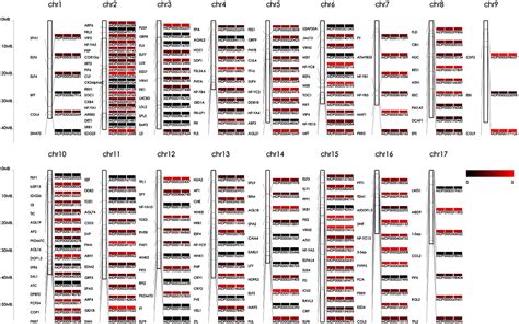 Frontiers Genome Wide Sequence Variation Identification And Floral