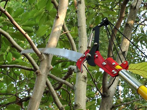 Kokorona 26ft 8m Pole Saw For Tree Trimming Manual Pole Saw Tree Branch Cutter Branch Trimmer