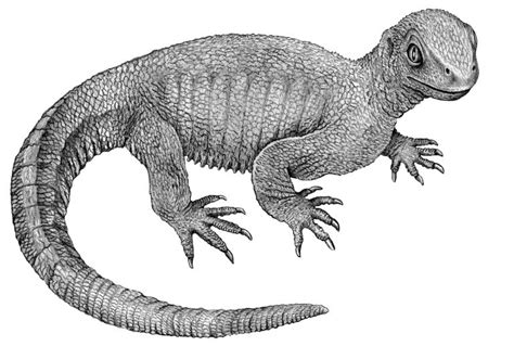 Rakovina z druhohôr - Časopis Quark