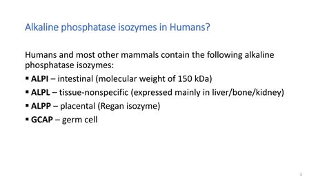 Alkaline phosphatase- Basics | PPT