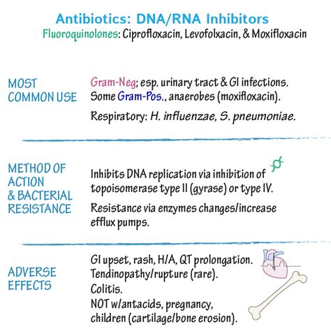 Immunology Microbiology Glossary DNA RNA Disruptors Ditki Medical