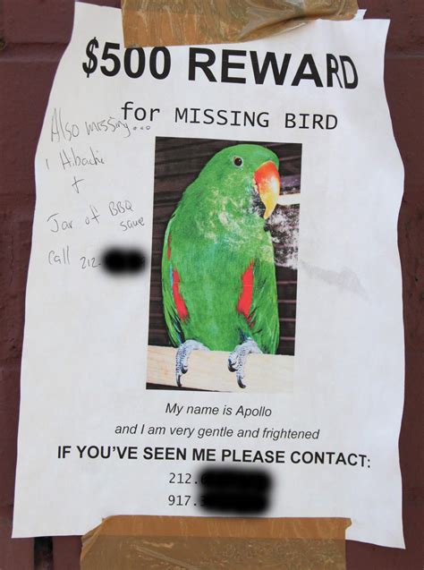 missing bird poster : r/MildlyVandalised