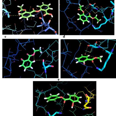 Interaction Of β Catenin With A Acetylsalicylsalicylic Acid B Download Scientific Diagram