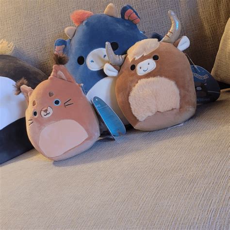 Successful Squish Hunt At Clare S And Macy S Today R Squishmallow