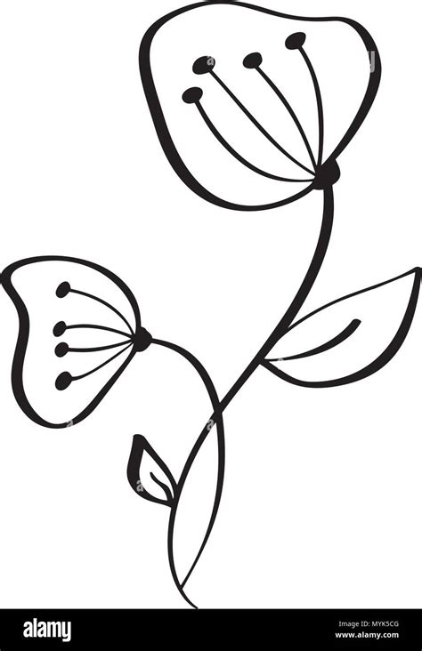 Hand Drawn Modern Flowers Drawing And Sketch Floral With Line Art