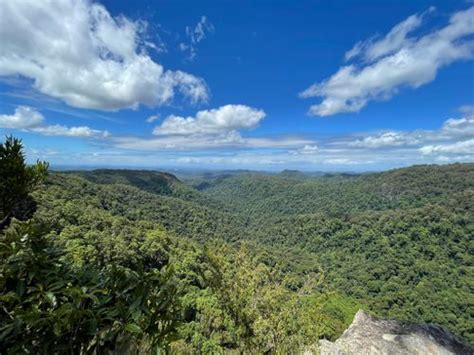 Best 10 Hikes and Trails in Springbrook National Park | AllTrails