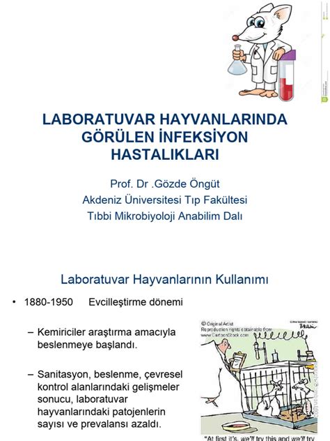 Deney Hayvanlari Hastaliklari Pdf