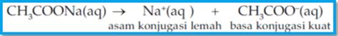 Hidrolisis Garam Asam Lemah Dan Basa Kuat Serba Ada