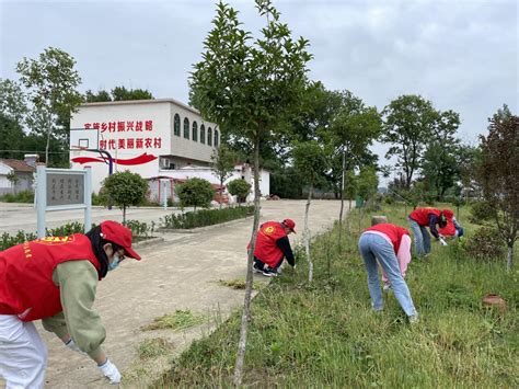 高店乡陈堂村：支部共建共联 提升人居环境