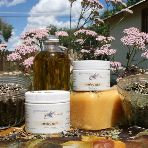 Comfrey Salve – Hummingbird Herbals