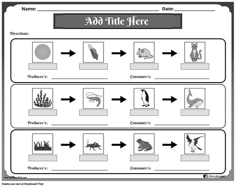 Naming Producers And Consumers Based On Energy Flow Worksheet