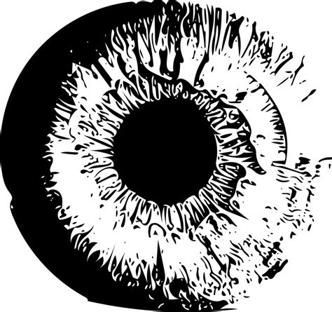 Eyeball Vector