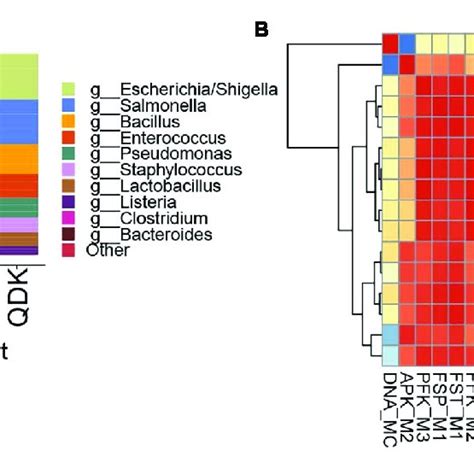 Sequencing Results For Extractions Of A Whole Cell Mock Community By