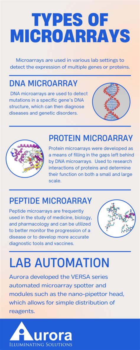 Different Types Of Microarrays And Their Uses