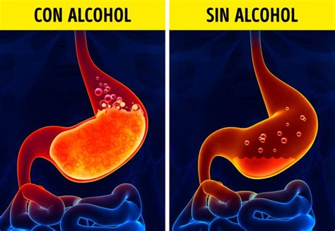 Sumergir Descuidado A la meditación beber alcohol teniendo la regla