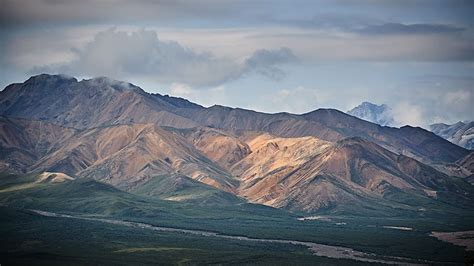 Alaska Cruise - Denali National Park - Princess Cruises