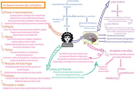 Mapa Emo Es Resumo Do Conte Do Sistema L Mbico E As Emo Es