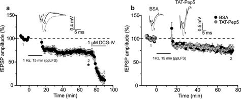 Paired Pulse Lfs Induced Ltd At Mf Ca3 Synapses Is Also Independent Of