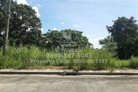 MSG 08 1197 Foreclosed Residential Vacant Lot In Eastland Heights