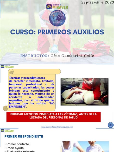 Primeros Auxilios Curso Septiembre 2023 Pdf Reanimación Cardiopulmonar Enfermedades Y