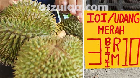 Musim Durian Murah Penangan Durian Menjadi Musim Durian Lebih