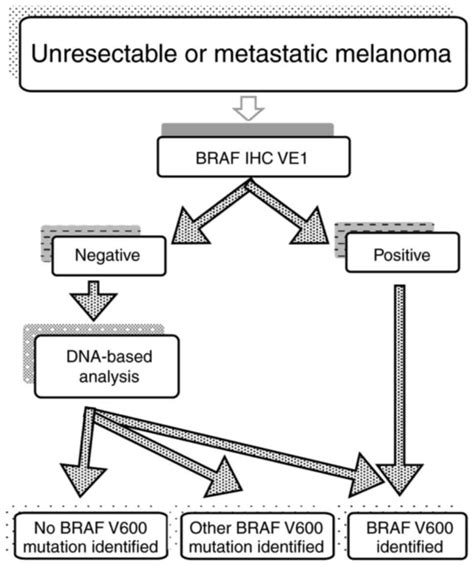 Immunohistochemistry As An Accurate Tool For The Assessment Of Braf