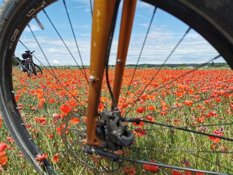 Achtung Gallier Radtouren In Deutschland Europa Und Asien