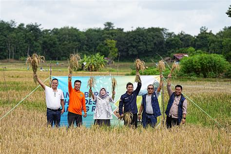 Bukit Asam Ptba Solar Irrigation Supports Sustainable Agriculture