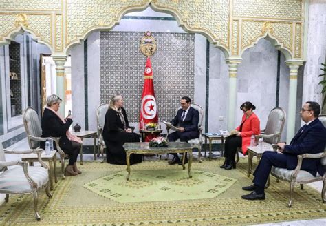 Tunisie L Ambassadrice De Norv Ge En Tunisie Remet Ses Lettres De