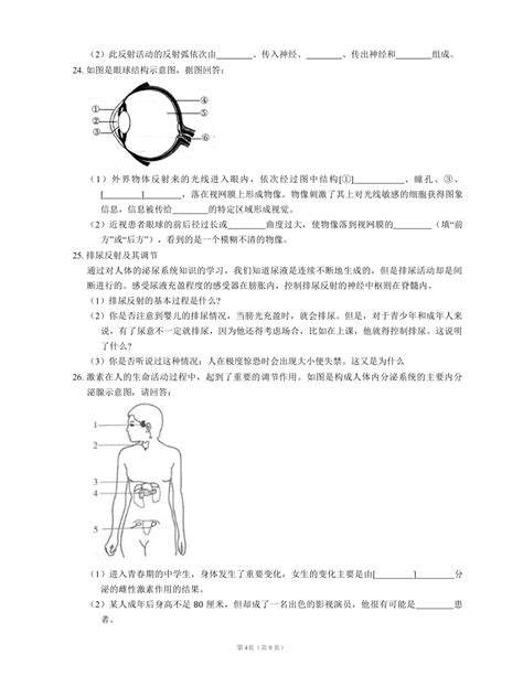 北师大版七下 第4单元第12章 人体的自我调节单元测试（含答案） 21世纪教育网