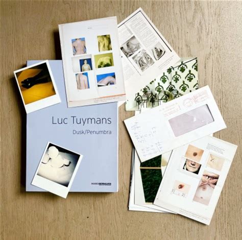 DuskPenumbra Book By Luc Tuymans On Artnet