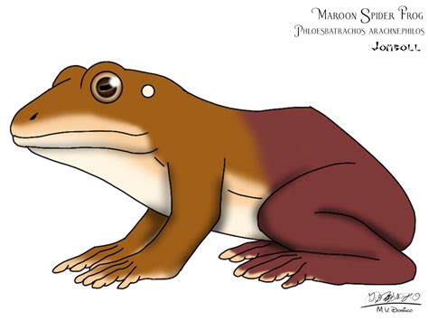 Maroon Spider Frog by Ognimdo2002 on DeviantArt