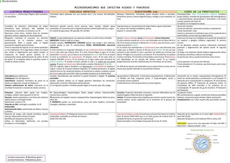 Microorganismos Que Infectan H Gado Y P Ncreas Brenda Udocz