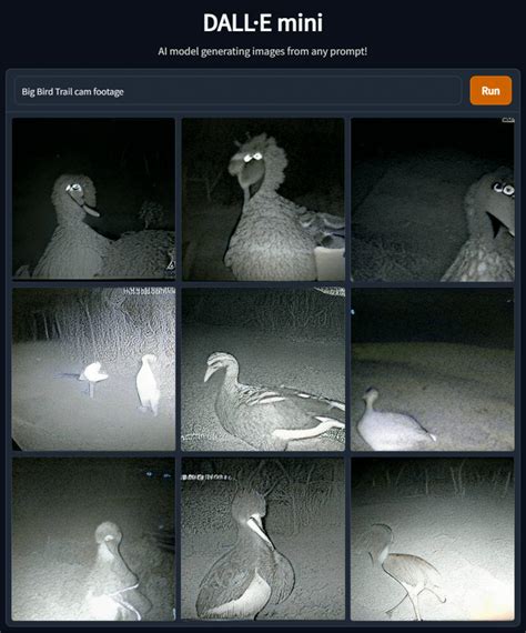 Big Bird Trail Cam Footage R Dallemini