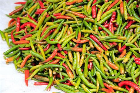 Fresh Thai Chilli Peppers Bangkok Market Stock Image Image Of Flavor