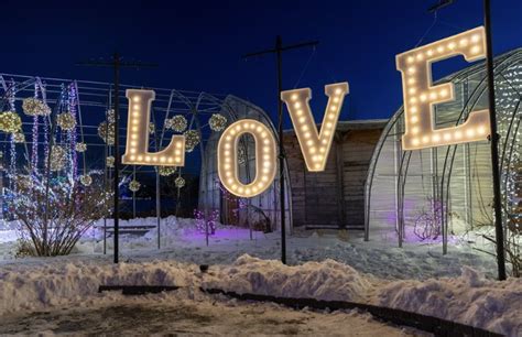 Zoo Lights at Assiniboine Zoo - Save Money in Winnipeg