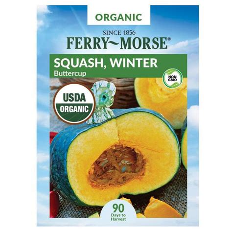 Ferry Morse Organic Squash Buttercup Fruit Seed 0930 The Home Depot