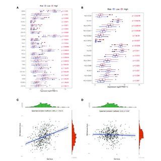 Predicted Treatment Sensitivity In Patients With Different Risk Scores