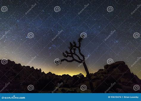 Night Sky Over Joshua Tree National Park, California Stock Photo ...