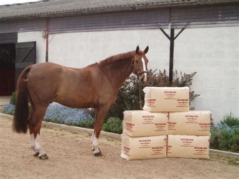 Horse Bedding Shavings Bulk Near Me