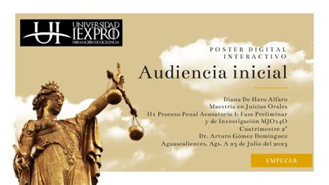 Audiencia Inicial Principios Finalidad Etapas